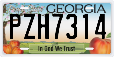 GA license plate PZH7314