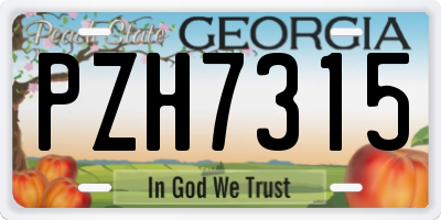 GA license plate PZH7315