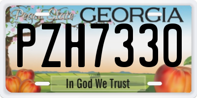 GA license plate PZH7330