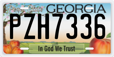 GA license plate PZH7336