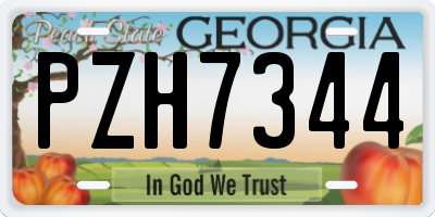 GA license plate PZH7344