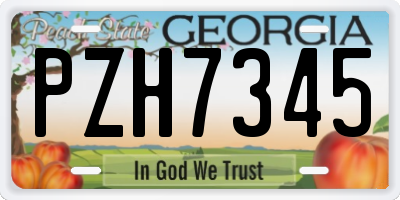 GA license plate PZH7345