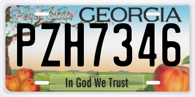 GA license plate PZH7346