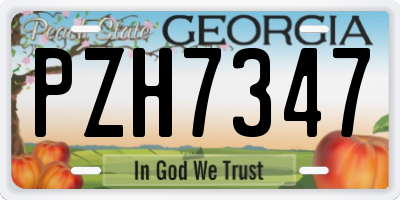 GA license plate PZH7347