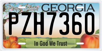 GA license plate PZH7360