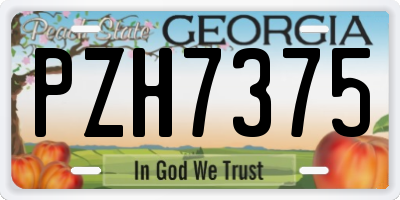 GA license plate PZH7375