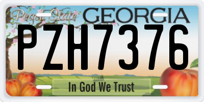 GA license plate PZH7376