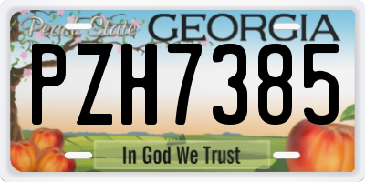 GA license plate PZH7385