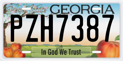 GA license plate PZH7387