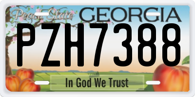 GA license plate PZH7388