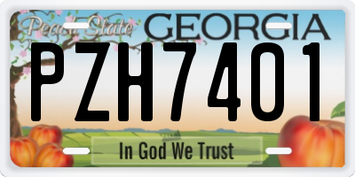 GA license plate PZH7401