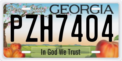 GA license plate PZH7404