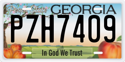 GA license plate PZH7409