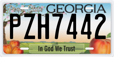 GA license plate PZH7442