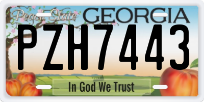 GA license plate PZH7443