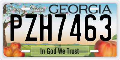 GA license plate PZH7463