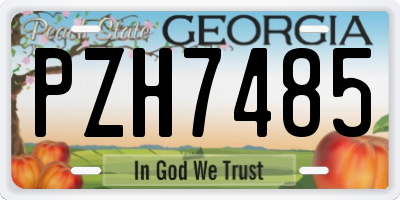 GA license plate PZH7485