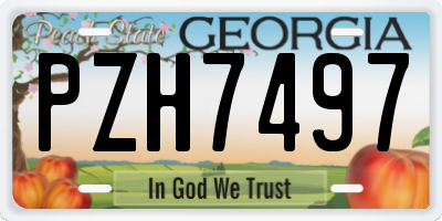 GA license plate PZH7497