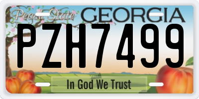 GA license plate PZH7499