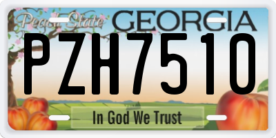 GA license plate PZH7510