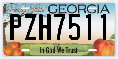 GA license plate PZH7511