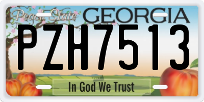 GA license plate PZH7513