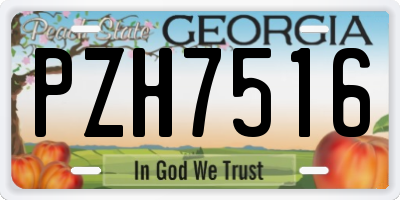 GA license plate PZH7516