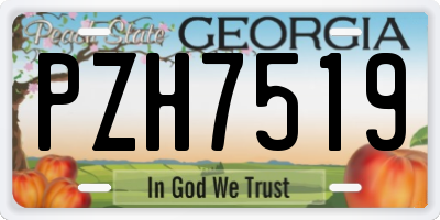 GA license plate PZH7519