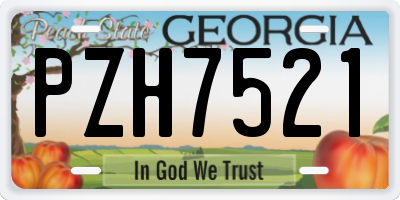 GA license plate PZH7521