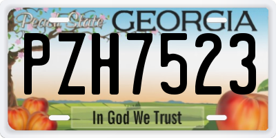GA license plate PZH7523