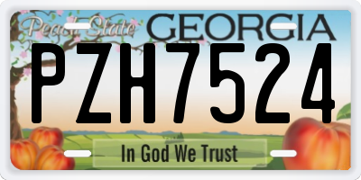 GA license plate PZH7524