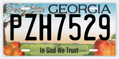 GA license plate PZH7529