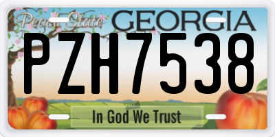 GA license plate PZH7538