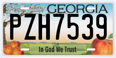 GA license plate PZH7539