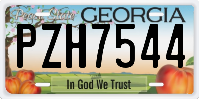 GA license plate PZH7544