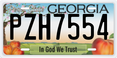 GA license plate PZH7554