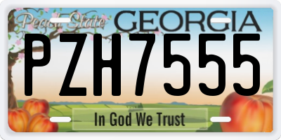 GA license plate PZH7555