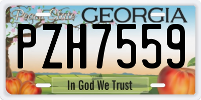 GA license plate PZH7559
