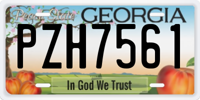 GA license plate PZH7561