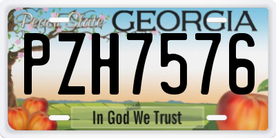 GA license plate PZH7576
