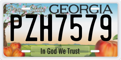 GA license plate PZH7579