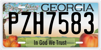 GA license plate PZH7583