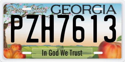 GA license plate PZH7613