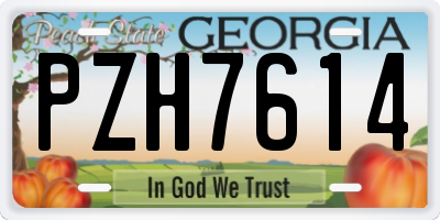 GA license plate PZH7614