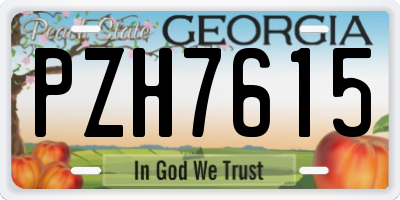 GA license plate PZH7615