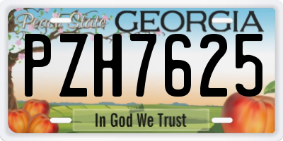 GA license plate PZH7625