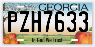 GA license plate PZH7633