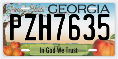 GA license plate PZH7635