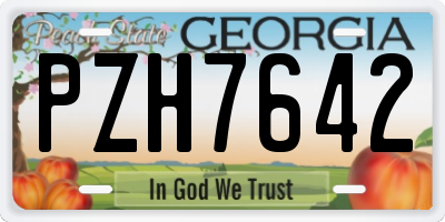 GA license plate PZH7642