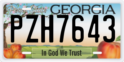 GA license plate PZH7643